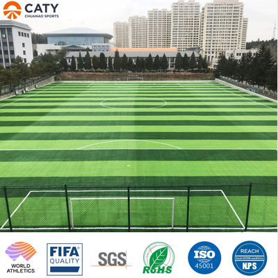 Sampel Gratis Granula Karet EPDM Anti-UV untuk Pengisian rumput buatan lapangan sepak bola